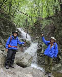 IMG 7701